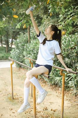 青楼十二房在线观看免费版电视剧全集