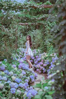 GOGOGO免费高清人体摄影